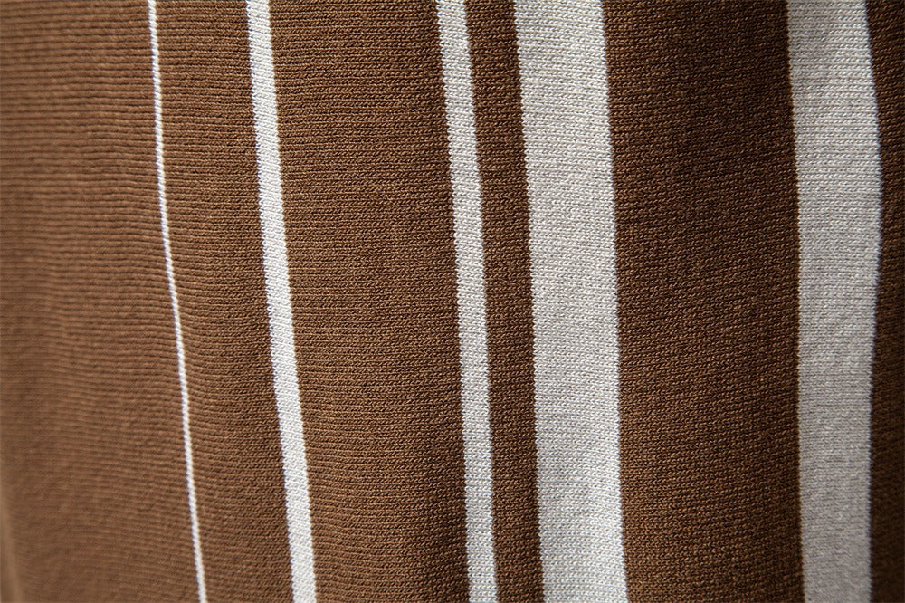Heritage Stripe Knit Polo Shirt